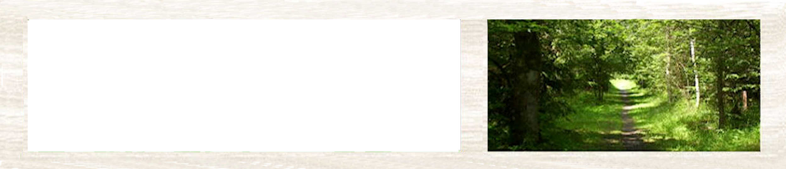 schema